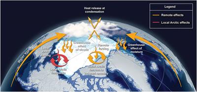 Process Drivers, Inter-Model Spread, and the Path Forward: A Review of Amplified Arctic Warming